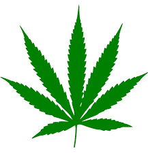 Marijuana: A Clarion call